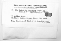 Image Associated With the Occurence